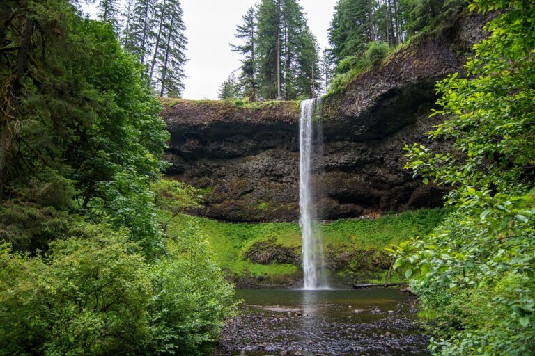 Traveling Through History: UNESCO World Heritage Cities and Historic Towns