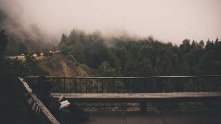 How To Access Www.Cricbet99.Win Login Page?