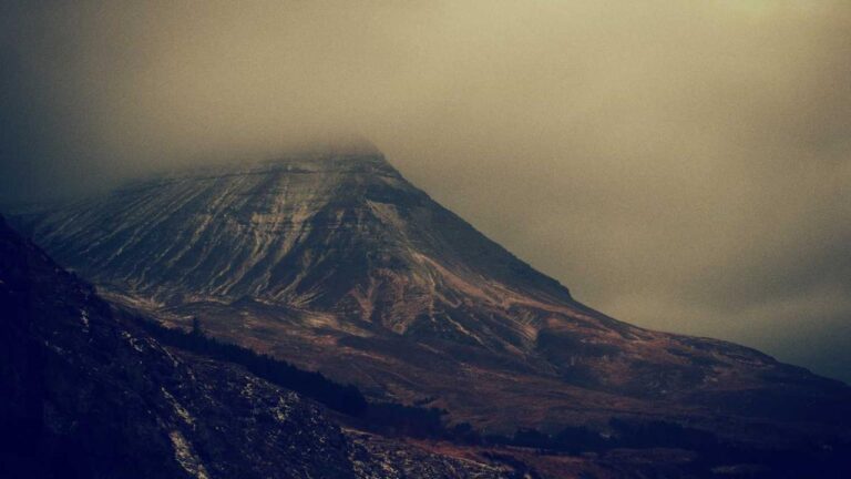 What Details Are Needed For 11Xplay Registration Online?