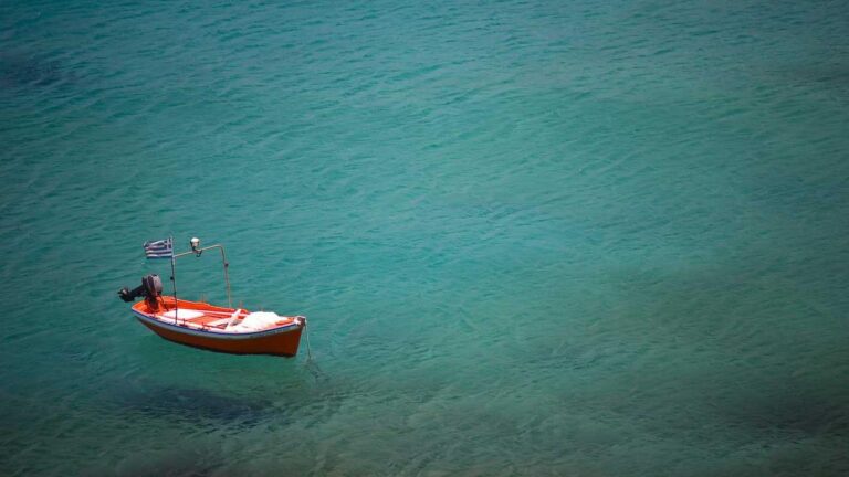 How To Log In To 99Exch Green Mode?